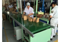 直线式皮带线实例